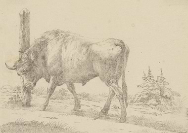 Bison near a wooden post and tree