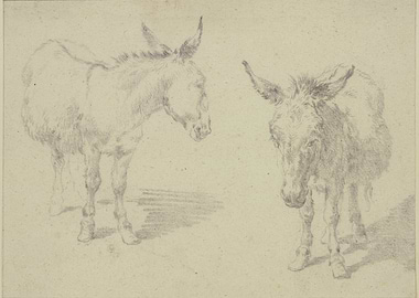 Two Donkeys Sketch