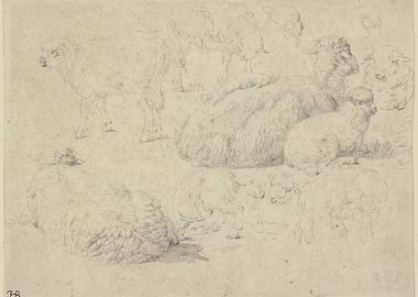 Sketch of Sheep in a Field