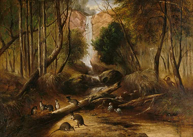 Wallabies and Waterfall in Australian Bushland