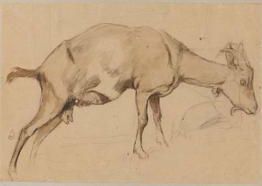 Sketch of a Goat