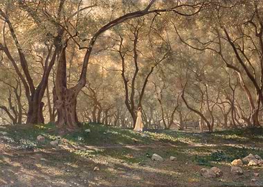 Woman walking in an olive grove