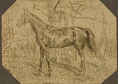 Horses in a Forest Clearing