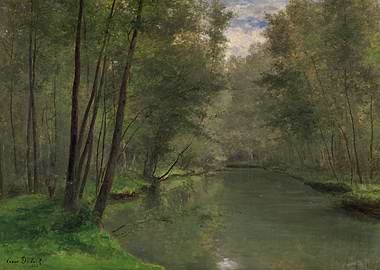 Serene Forest River Scene