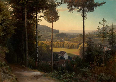 Forest Path Overlooking a Valley