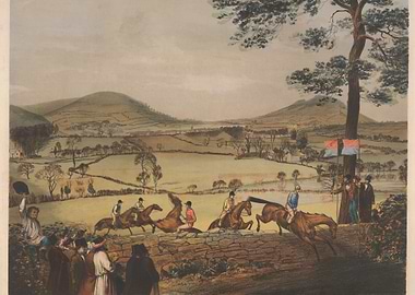 Horse Race Over Stone Wall