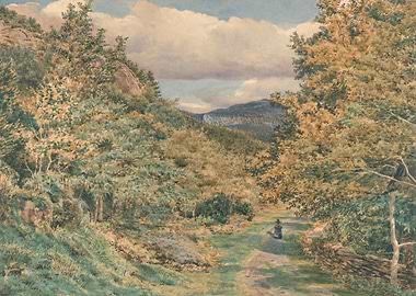 Woman walking on a path in a forest