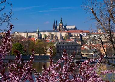 Spring in Prague – Castle View over the Vltava