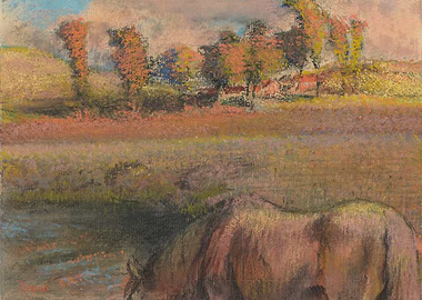 Horse grazing in a field with autumn trees