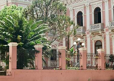 Pink Building with Palm Trees and Fence