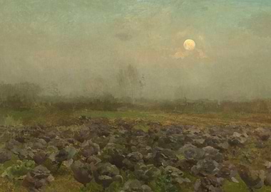 Moonlit Cabbage Field