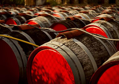 Rows of Wine Barrels