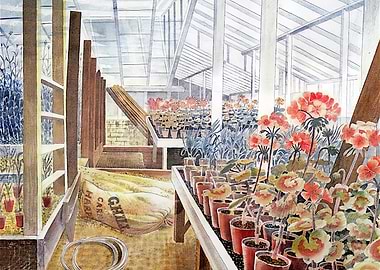 Greenhouse interior with potted plants