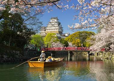 Himeji Castle with Cherry Blossoms and Boat