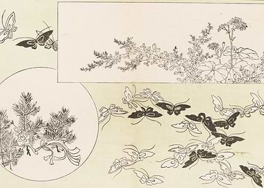 Japanese Butterflies and Floral Motifs