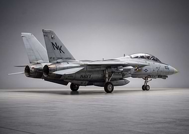 Grumman F-14 Tomcat Fighter Jet