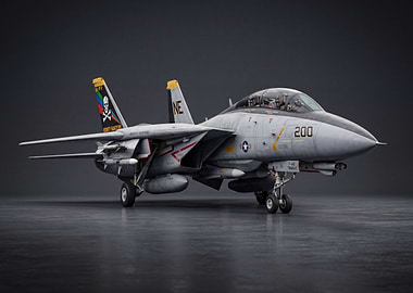 Grumman F-14 Tomcat Fighter Jet