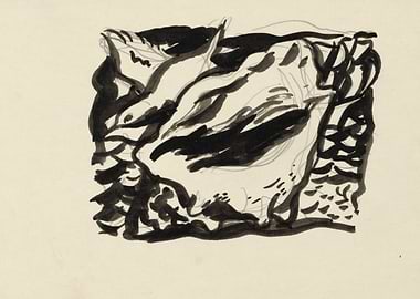 Abstract Ink Drawing of Organic Forms