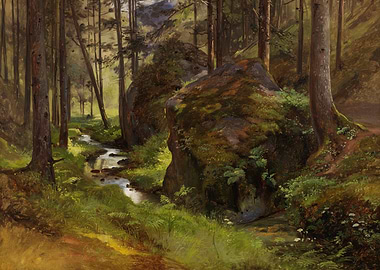 Forest Stream and Rocks