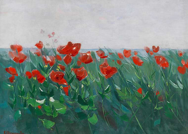 Field of Red Poppies