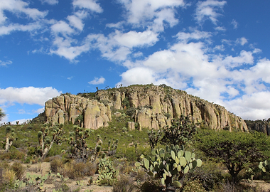 Desert Mesa Landscape with Cactus