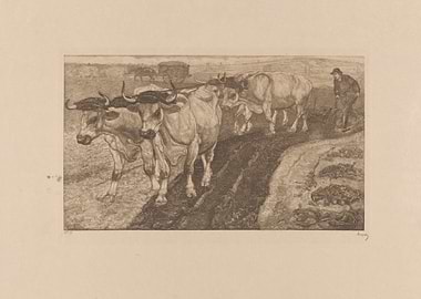 Farmer Plowing Field with Oxen