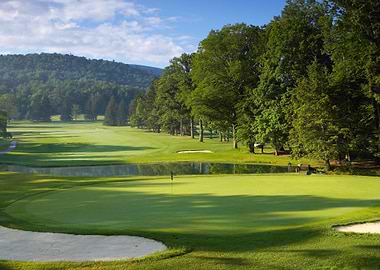 Golf Course Green with Pond and Trees