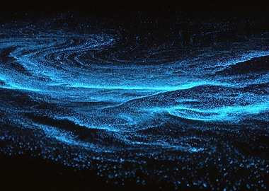 Bioluminescent Waves at Night