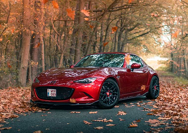 Red Mazda MX-5 in Autumn Forest