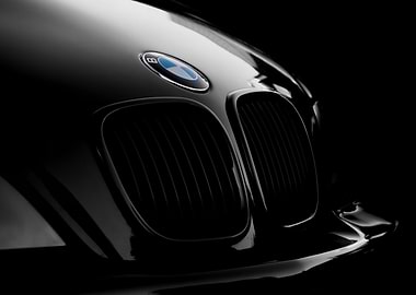 BMW Grille and Logo Close-up