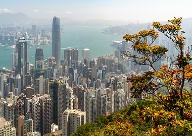 Hong Kong Skyline from Victoria Peak