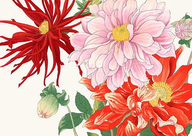 Dahlia Flower - Tanigami Kônan