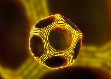 Truncated Dodecahedron