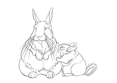 Two mountain viscacha cuddling