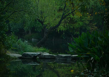 Stepping stones across a tranquil pond