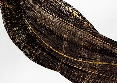 Black and Gold Woven Fabric