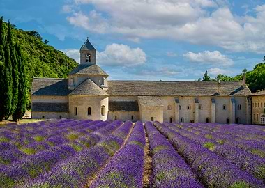 Lavender Field in Front of Monastery