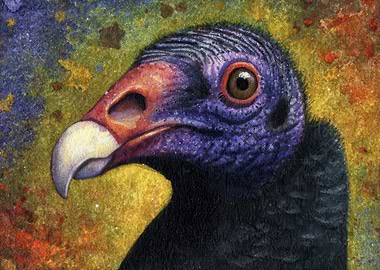Vulture Portrait
