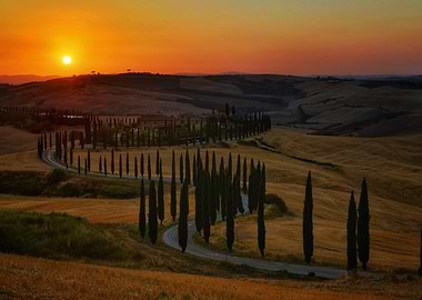 Tuscan Landscape at Sunset