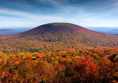 Autumn Mountain Forest Landscape