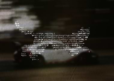 Race