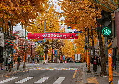 Autumn Street Scene in Seoul, South Korea