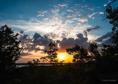 Sunset over a forest and lake