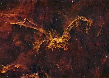 The Golden Dragon