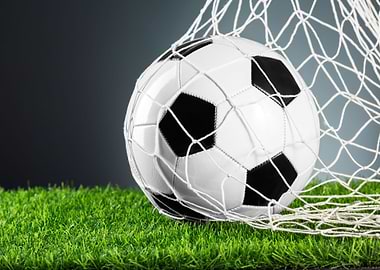 Soccer ball in a net on grass