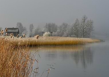 Misty Winter Lake with Reeds and Houses