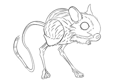 Jerboa Line Art