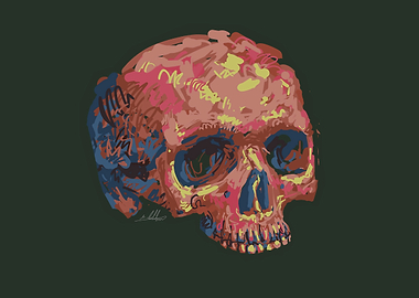 Abstract Skull Painting