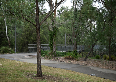 Park pathway with bridge and trees