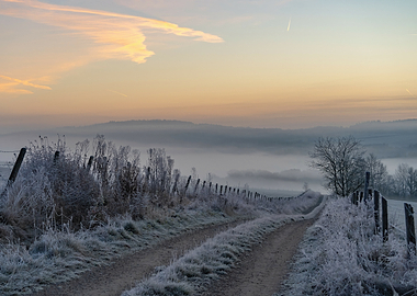 Frosty Winter Path at Sunrise